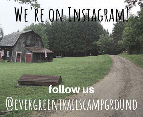 Follow Us on Instagram